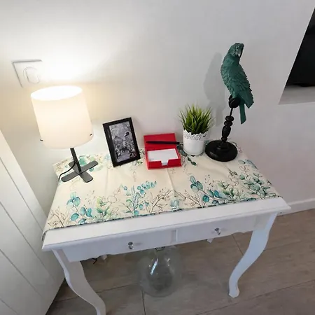 Parrots By La Cle Des Expos In Appartement