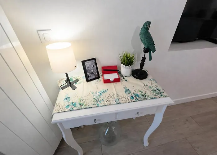 Parrots By La Cle Des Expos In Appartement