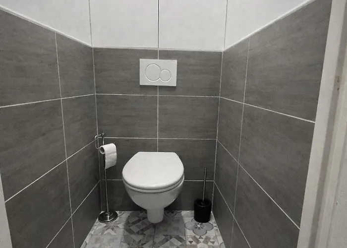 Parrots By La Cle Des Expos In Appartement